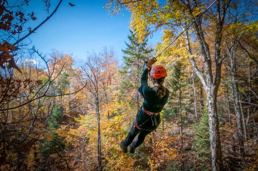 River Ziplines - Nature Tours - What the Two-Hour Visit Includes