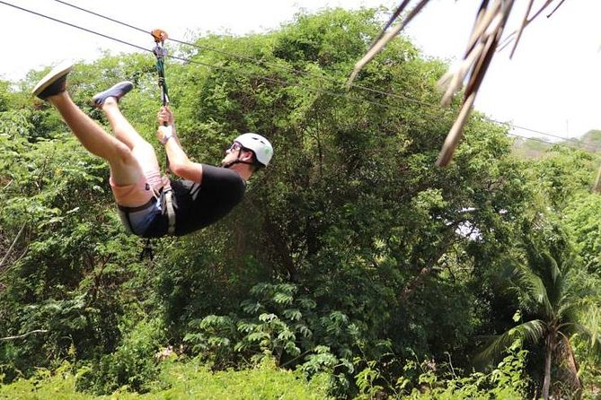 Roatan Zipline, ATV Buggy Ride + Sloths & Exclusive Beach Access - Mayan Eden: sloths, monkeys, birds, and 12 zips