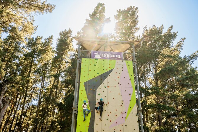 Rock Climb, Zipline and Mega Swing Experience - Five things to know before booking