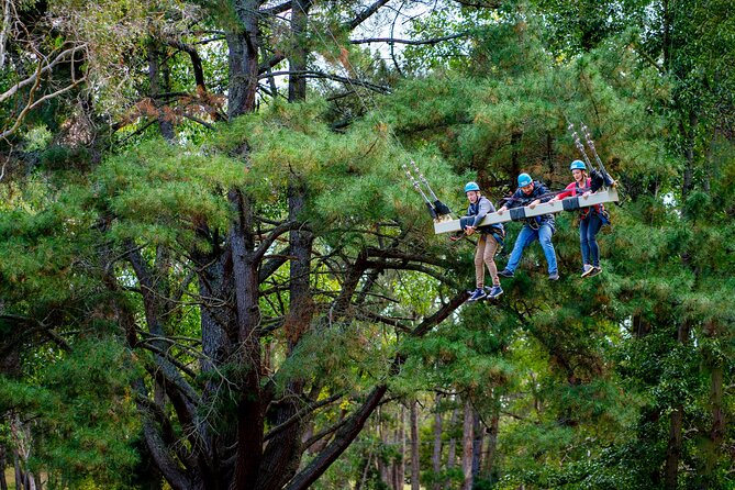 Rock Climb, Zipline and Mega Swing Experience - The 15-metre Adventure Tower