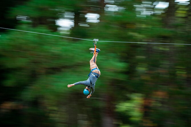 Rock Climb, Zipline and Mega Swing Experience - The 324-metre forest zipline