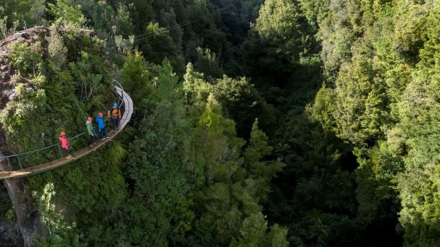 Rotorua: 6 Ziplines, 400m Tandem, Cliff Walk & Swing Bridges - What kind of adventure is this?