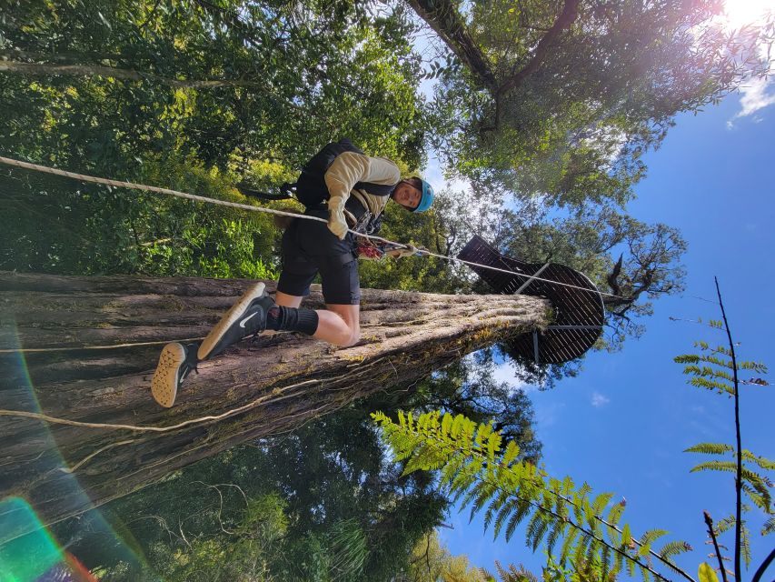 Rotorua: 6 Ziplines, 400m Tandem, Cliff Walk & Swing Bridges - Weather, clothing, and comfort