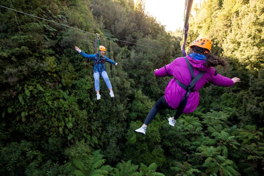 Rotorua: 6 Ziplines, 400m Tandem, Cliff Walk & Swing Bridges - From Fairy Springs Road into protected forest