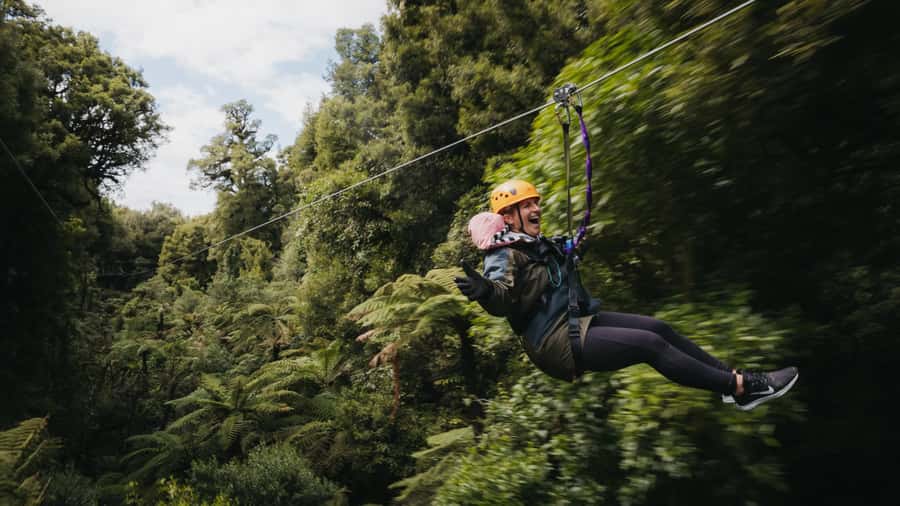 Rotorua: 6 Ziplines, Swing-Bridges & Wildlife Encounters - A gentle start before the bigger lines
