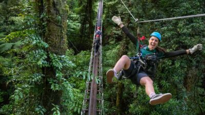 Rotorua: 6 Ziplines, Swing-Bridges & Wildlife Encounters