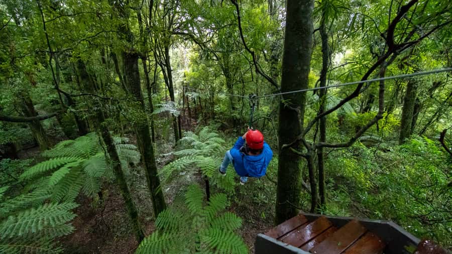 Rotorua: 6 Ziplines, Swing-Bridges & Wildlife Encounters - Guides who make nervous people feel safe