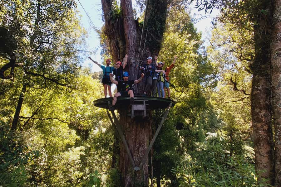 Rotorua: 6 Ziplines, Swing-Bridges & Wildlife Encounters - Rain, warm clothing, and what to bring