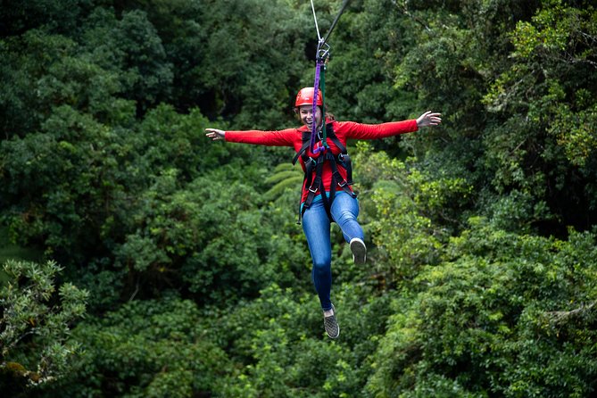Rotorua Canopy Tours: 2.5Hour Native Forest Zipline Adventure - The Conservation Story Adds Meaning