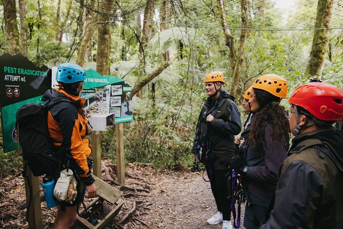 Rotorua Canopy Tours: 2.5Hour Native Forest Zipline Adventure - A Small Group Makes the Difference