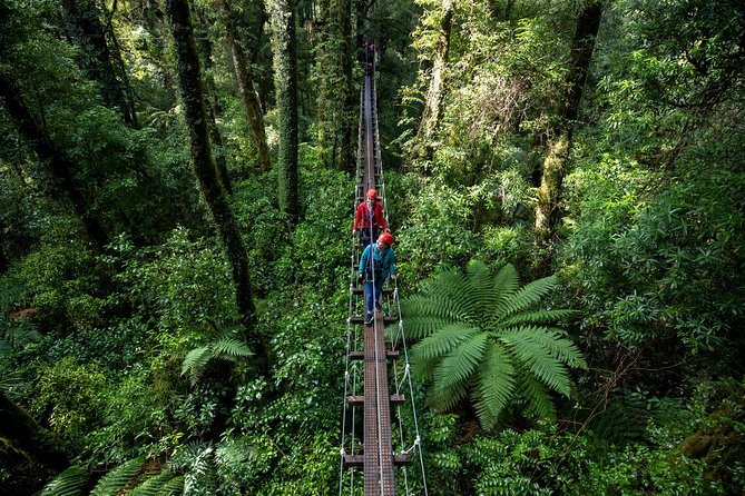 Rotorua Canopy Tours: 2.5Hour Native Forest Zipline Adventure - Wet Weather Is Part of Rotorua