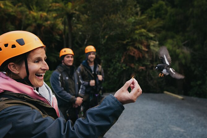 Rotorua Canopy Tours: 2.5Hour Native Forest Zipline Adventure - Who Will Enjoy This Most?