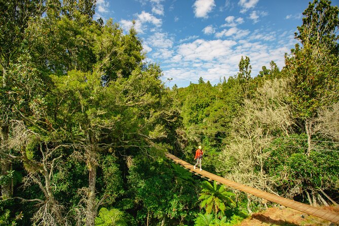 Rotorua Ziplines - Okere Falls Experience - Three waterfalls and the Kaituna River below