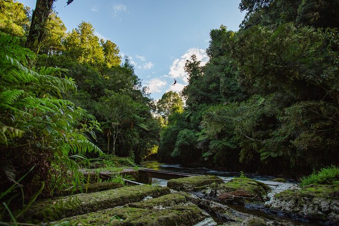 Rotorua Ziplines - Okere Falls Experience - Is $104.88 good value?