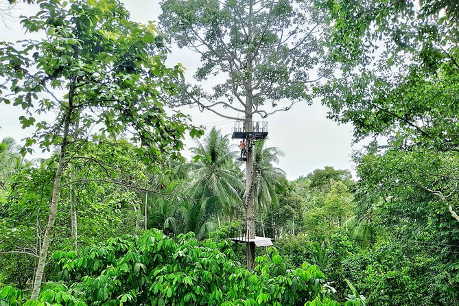 Samui Zipline Explore and Connect with Nature - Key points before you book