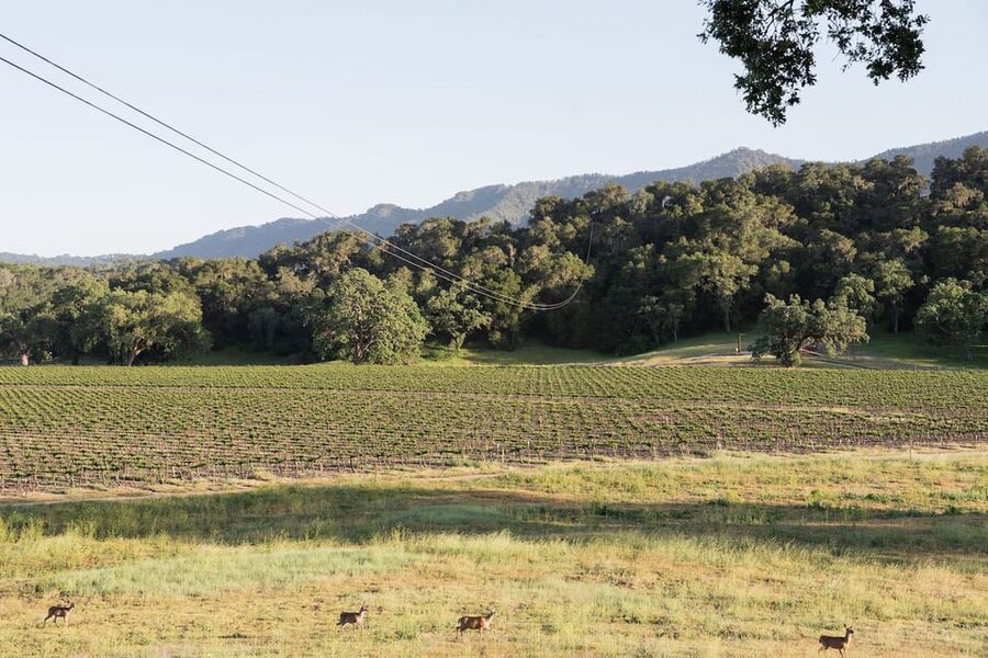 Santa Margarita: 6-Zipline Course Sunset Experience Ticket - Should you book the Santa Margarita sunset zipline?