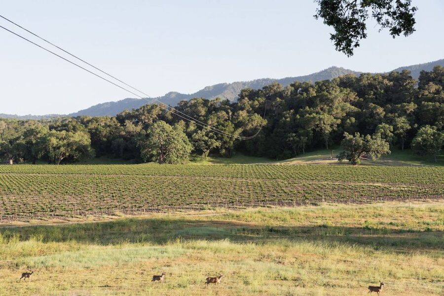 Santa Margarita: Zipline Adventure with 6 Different Ziplines - Getting fitted and ready for the first line