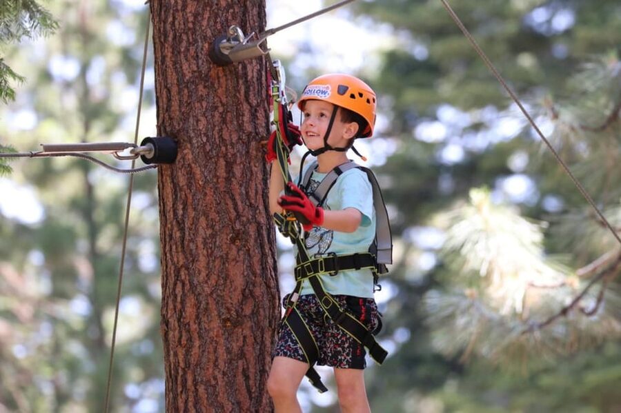 Sasquatch Hollow: Kids' Zipline Adventure - Five things to know before you book