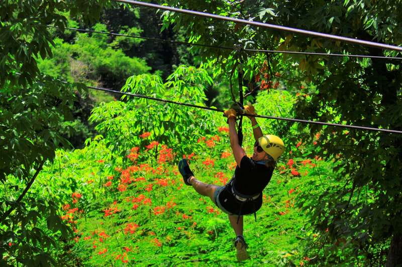 Sayulita/Punta Mita: Zip Lines with Ocean View - Transportation from Sayulita, Punta Mita, and nearby hotels