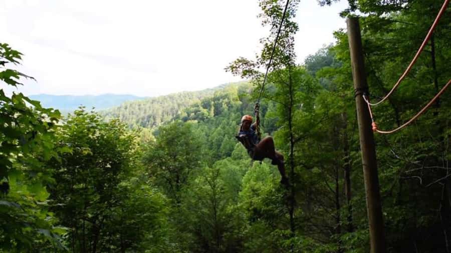 Sevierville: Extreme Mountain Zip Lining Adventure - What the Foxfire Adventure Park setting adds