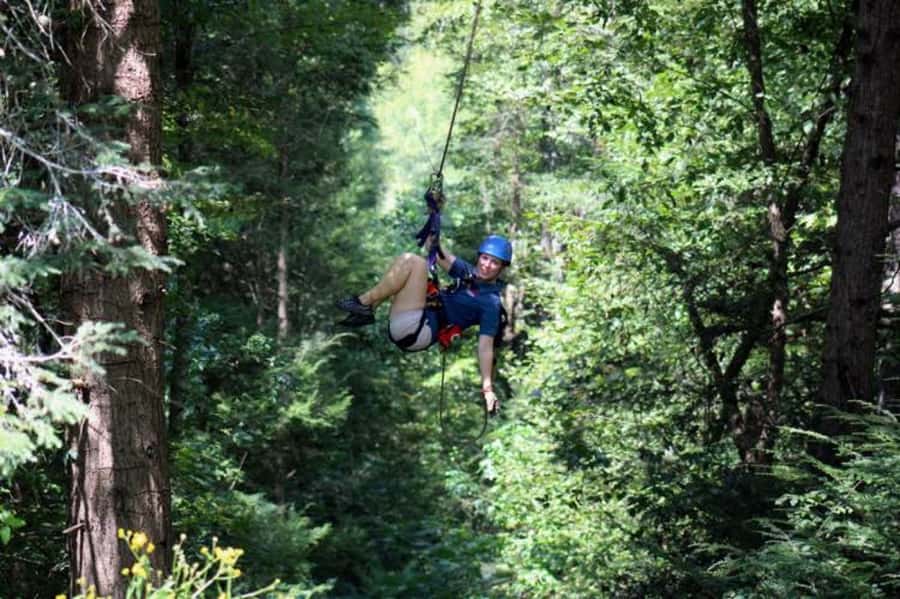 Sevierville: Waterfall Canopy Zip Lining in Smoky Mountains - Who Will Enjoy This Most?