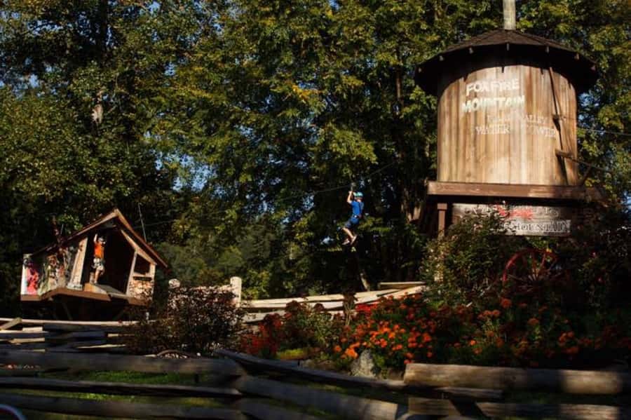 Sevierville: Waterfall Canopy Zip Lining in Smoky Mountains - My Booking Advice