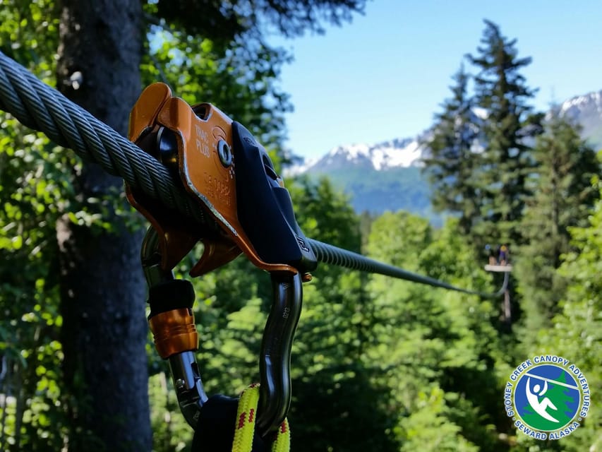 Seward: Stoney Creek Canopy Tour with Zipline - Starting in Seward’s Small Boat Harbor
