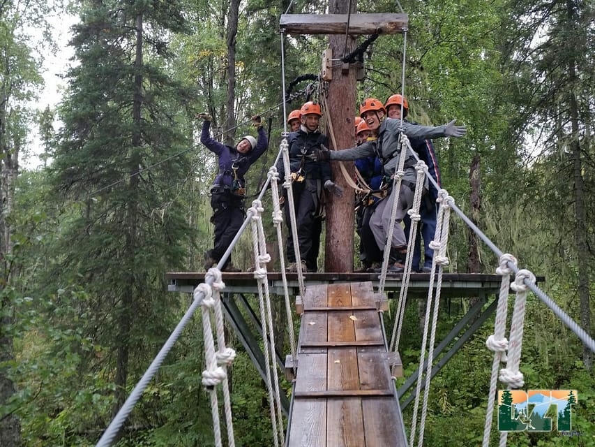 Seward: Stoney Creek Canopy Tour with Zipline - Descending into the darker rainforest