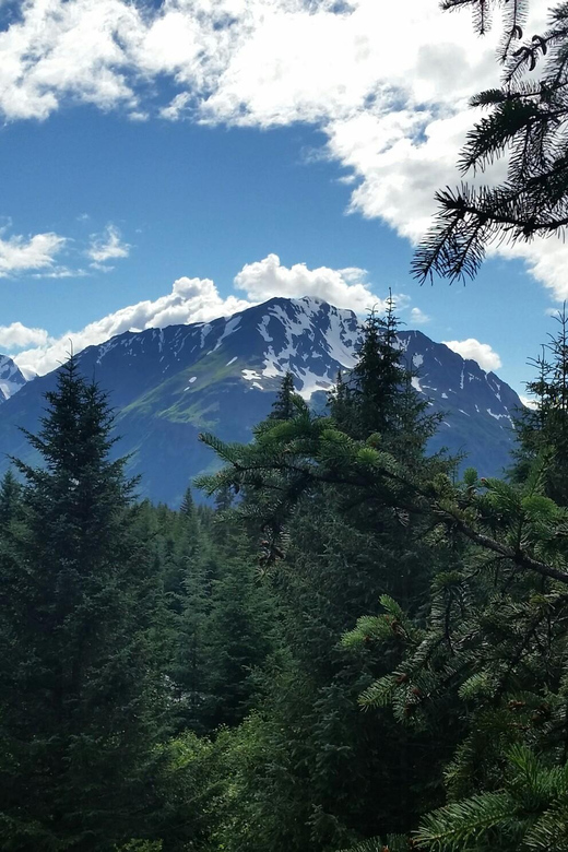 Seward: Stoney Creek Canopy Tour with Zipline - A 60-foot rappel and the rising walkway