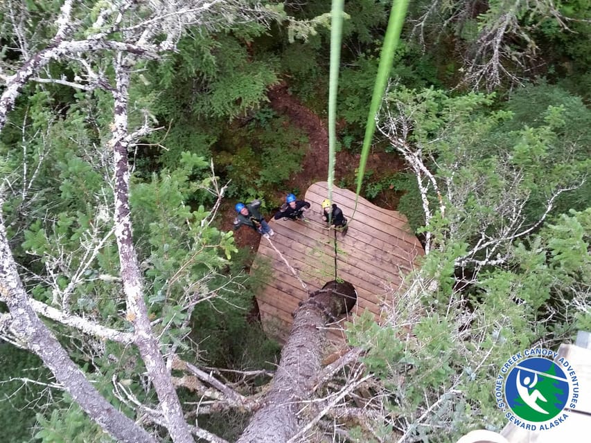 Seward: Stoney Creek Canopy Tour with Zipline - Rain, clothing, and comfort