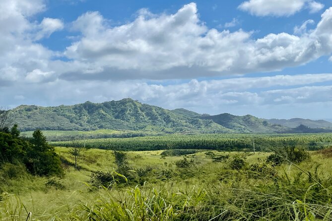 Shaka Zipline: 5 Line Zipline Tour (60 - 260 lbs) - The van ride to the course