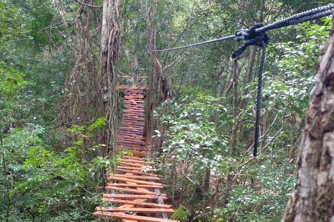 Shared ATV's and Zip Lines and Swimming in a Real Cenote. - Lunch breaks up the action