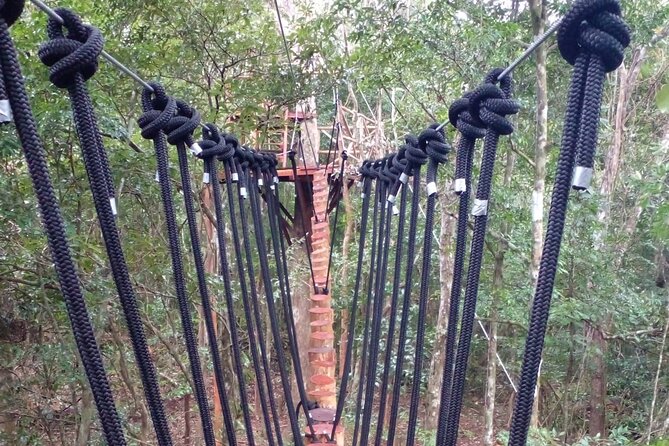 Shared ATV's and Zip Lines and Swimming in a Real Cenote. - Who will enjoy this tour most