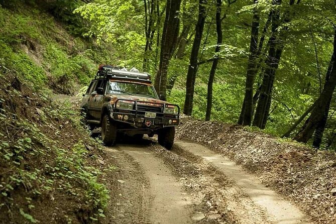 Sheki Adventure Nature Private Tour (Zipline, ATV, Off-road) - Who Will Enjoy This Tour Most?