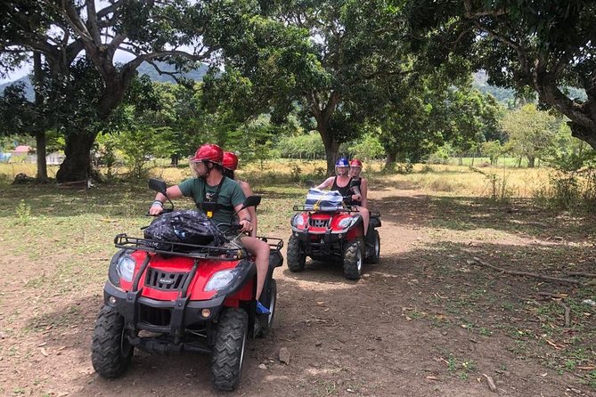Shore Excursion: V.I.P. DayPass: ATV, Zip Lines, Horseback Riding & Lunch - What the VIP DayPass Includes