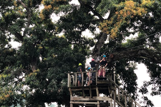 Shore Excursion: Zip Line Adventure - Who will enjoy this Amber Cove excursion