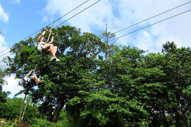 Shore Excursion: Zip Line Adventure - Eight lines and more than 7,900 feet of cable