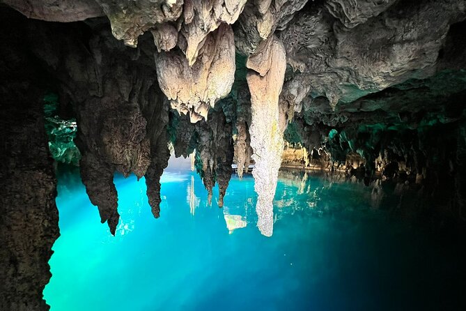 Single ATV, Horseback Riding, Ziplines and Cenote Swim - Horseback riding and questions about animal care