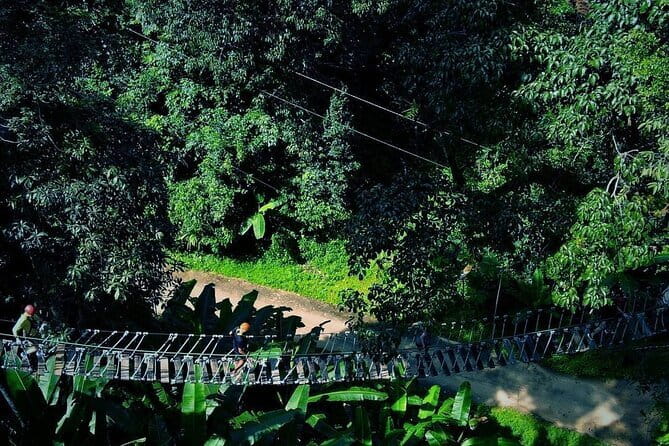Sky Hawk Zipline Chiang Mai – Ultimate Canopy Adventure - Reaching the forest from Chiang Mai