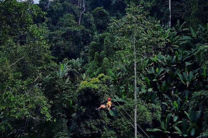 Sky Hawk Zipline Chiang Mai – Ultimate Canopy Adventure - Lunch, drinks, and the value of the price