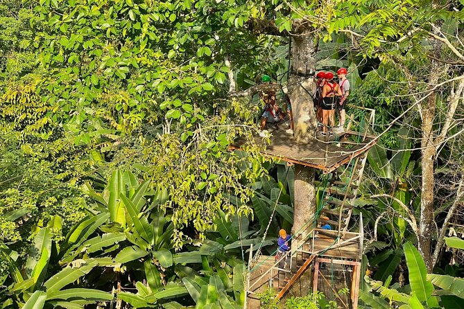 Sky Hawk Zipline Experience in Chiang Mai - Eighteen ziplines through the canopy