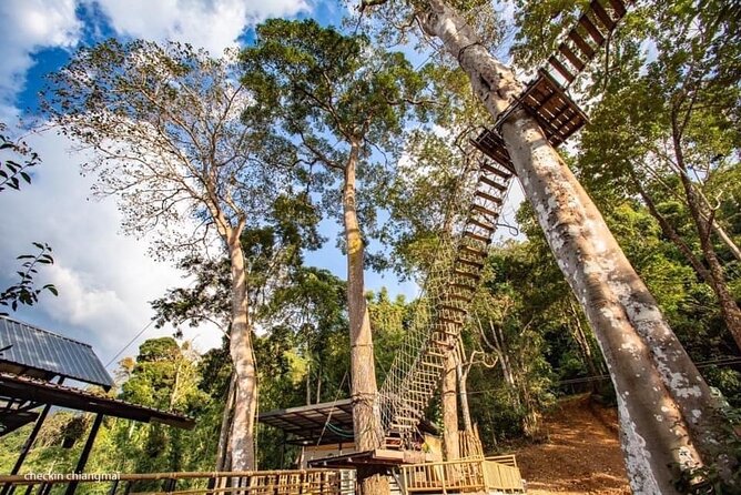 Sky Hawk Zipline Experience in Chiang Mai - Thirty-two platforms, stairs, and bridges