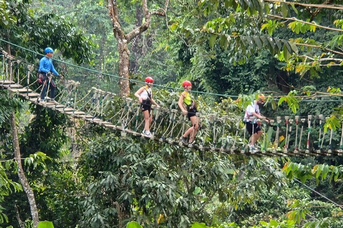 Sky Hawk Zipline Experience in Chiang Mai - Abseiling and sky bridges add variety