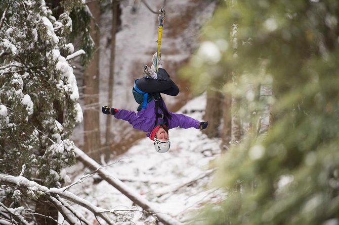 Small-Group Zipline Adventure in Queenstown - Is the $73.85 price good value?