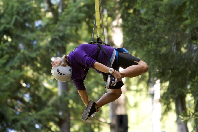 Small-Group Zipline Adventure in Queenstown - Who will enjoy this most?