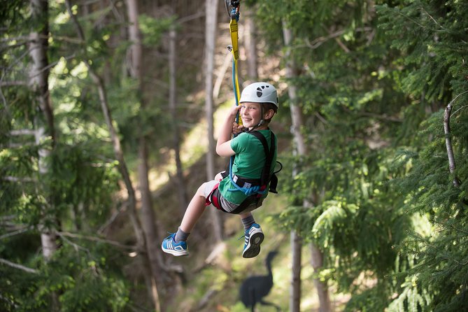 Small-Group Zipline Adventure in Queenstown - What the two-hour itinerary feels like