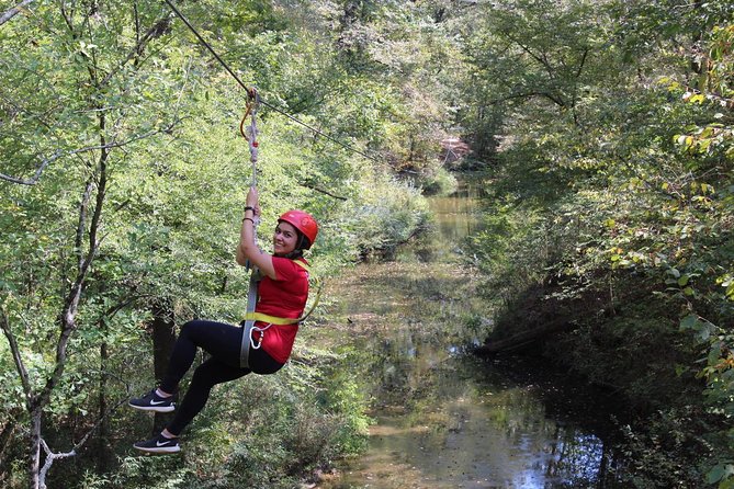 Small-Group Zipline Tour in Hot Springs - Key details before you book