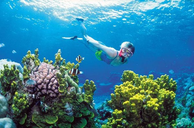 Snorkel, ATV, Zipline and Cenote Adventure from Cancun - From Cancun hotels to Puerto Morelos by speedboat