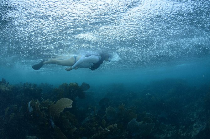 Snorkel, ATV, Zipline and Cenote Adventure from Cancun - Lunch comes after the action