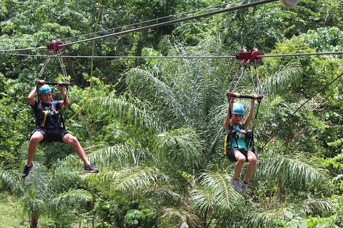 St. Kitts Zipline Experience - Key points at a glance